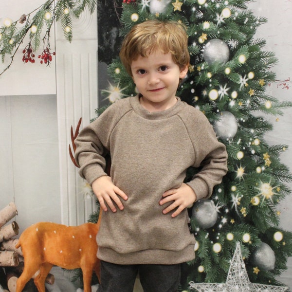 Merino wool sweater for kids, Organic merino wool sweater, Beige Merino Wool Kids sweater, Natural Toddler Unisex Boy & Girl Sweatshirt