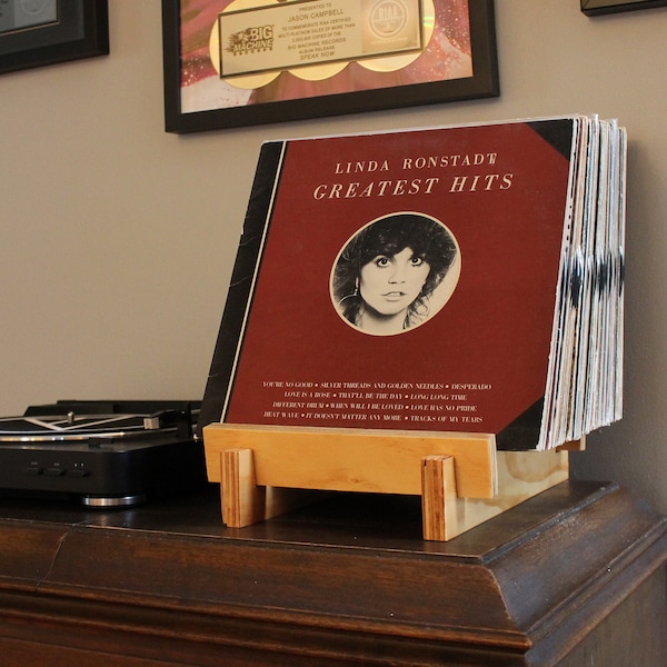 Vinyl Record Album Display Storage Rack (Low Front)