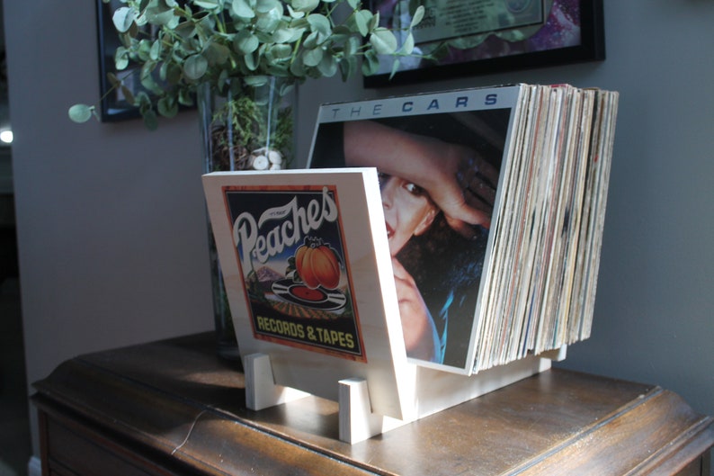 Peaches Vinyl Record Flip Rack Storage and Display Etsy