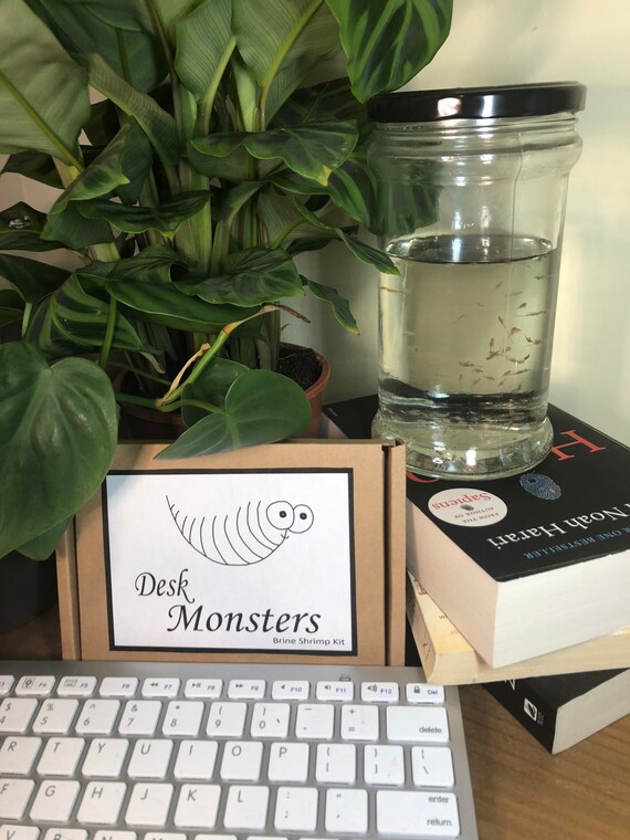 Desk Monsters Brine Shrimp Kit In A Jar Work From Home Gift Etsy