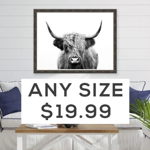 Black And White Highland Cow Print Scottish Coo Shaggy Cow Etsy Israel