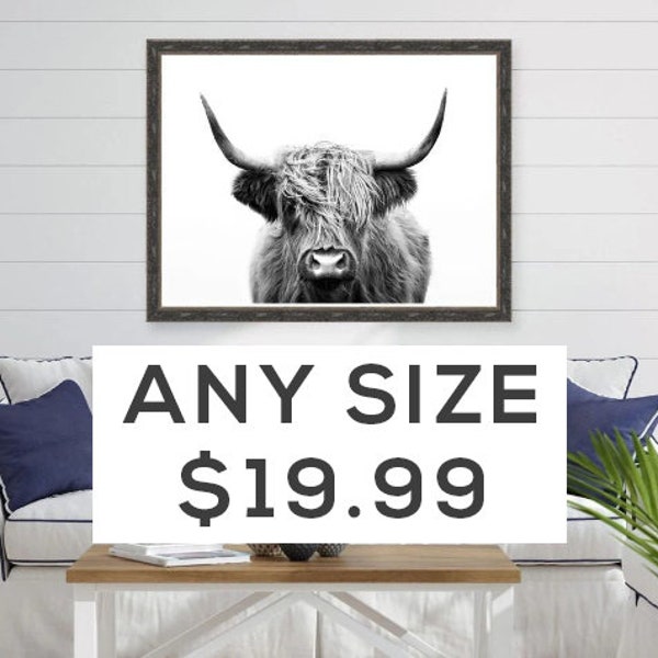 Highland Cow, Highland Cow Print, Living Room Art, Farmhouse Wall Decor, Farmhouse Art