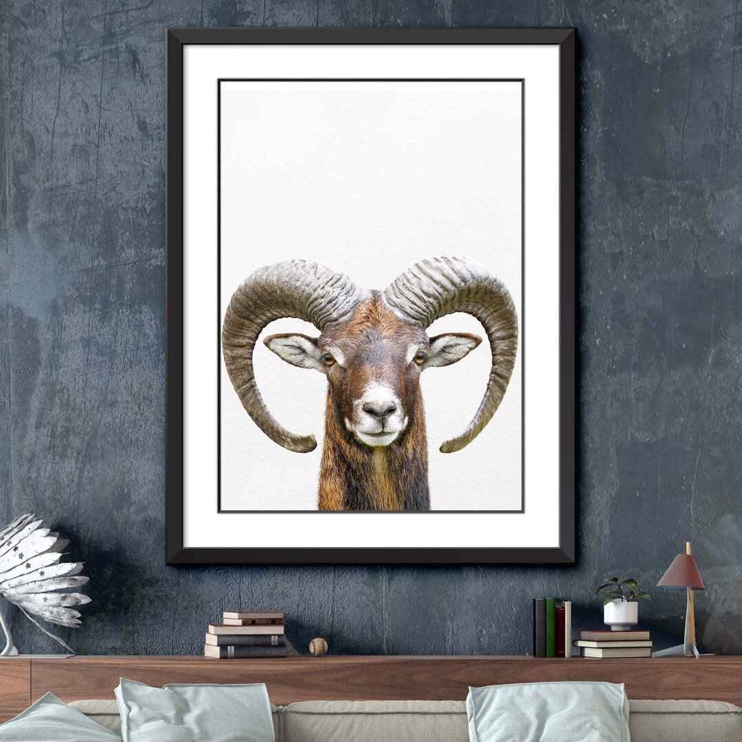 Mountain Goat Print Mountain Goat Wall Art Mountain Goat Etsy