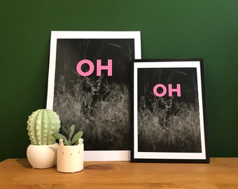 OH DEER Original Art Print Pink Black Letters Photo Wild Animal Dark Photograph Graphic Fun Playful Pun Play on words Deer Forest Woods