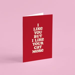 Ik vind je kat leuker verjaardagskaart, grappige kaart voor vriend, jubileum voor hem, jubileumkaart, valentijnskaart, wilde liefde
