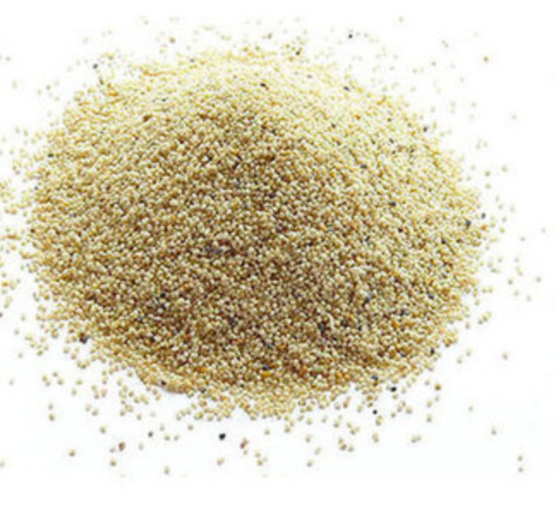 White Poppy Seeds 0.5 oz 14 oz Whole Color varies from Etsy
