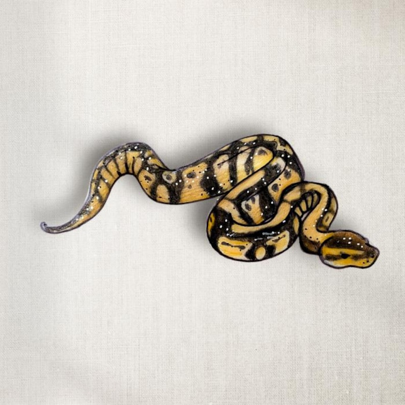 Ball Python Snake Lapel Pin - Etsy