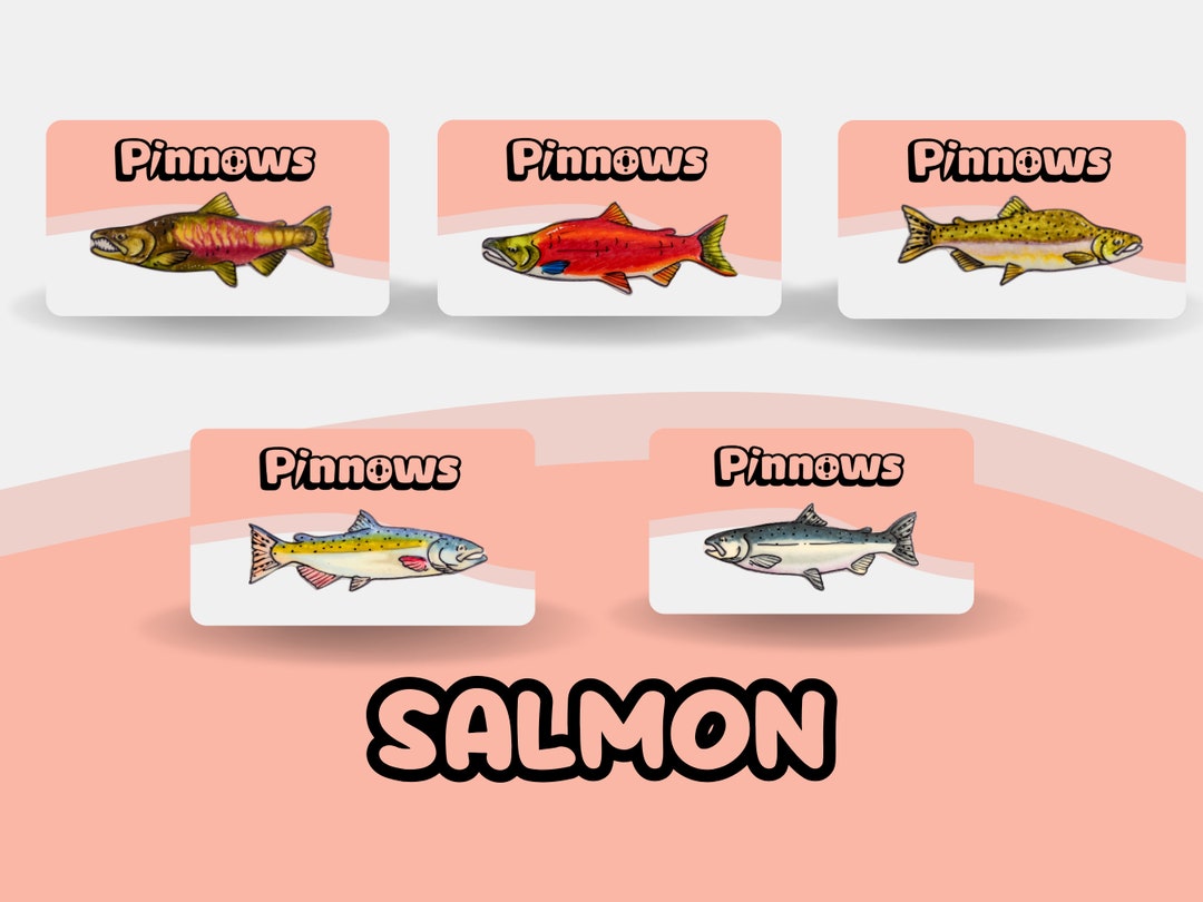 Salmon Fish Pins 5 Fish Pins Collectable Pins Pins Sockeye Pin Coho Pin