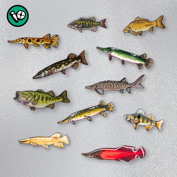 Freshwater Fish Magnets - Mix & Match from 6 different designs!