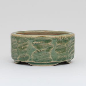 May include: A green ceramic bonsai pot with a textured, leaf-like design. The pot has a rounded shape and a slightly flared rim.