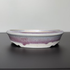 May include: A white ceramic bonsai pot with a purple and blue glaze. The pot has a rounded shape and a slightly flared rim.
