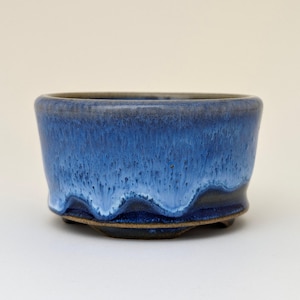 Könnte beinhalten: Ein blauer und weißer Keramik-Bonsai-Topf mit einem gewellten Rand und einer braunen Basis.