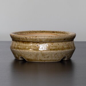 Può includere: Un vaso per bonsai in ceramica di colore marrone chiaro, di forma ovale arrotondata con un bordo leggermente svasato. Il vaso ha una smaltatura macchiettata e tre fori di drenaggio sul fondo.