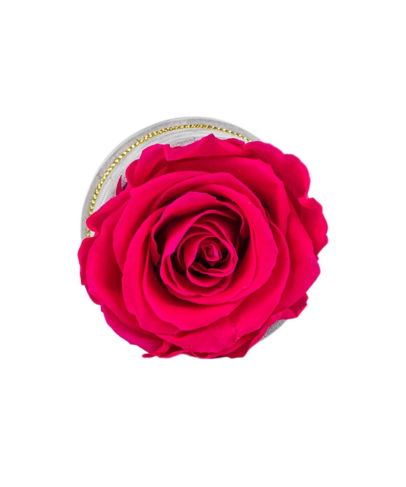 Wieczne czerwone róże, w welurowym pudełku ze złotym grawerem image 7