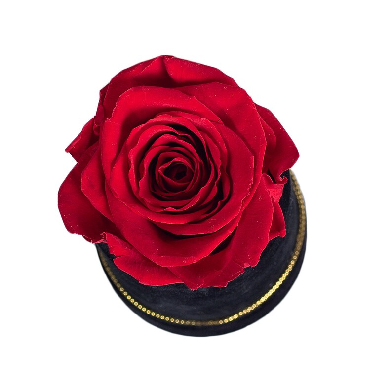 Wieczne czerwone róże, w welurowym pudełku ze złotym grawerem image 3