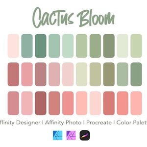 Paquete de paletas de colores Affinity Designer / Cactus Bloom / Muestras de color / Descarga instantánea / Procreate / Affinity Photo / 30 colores