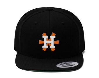 rainbow astros hat