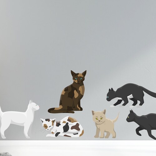 Cat Wall Decals Cat Grooming Wall Decor Veterinary Decals Etsy