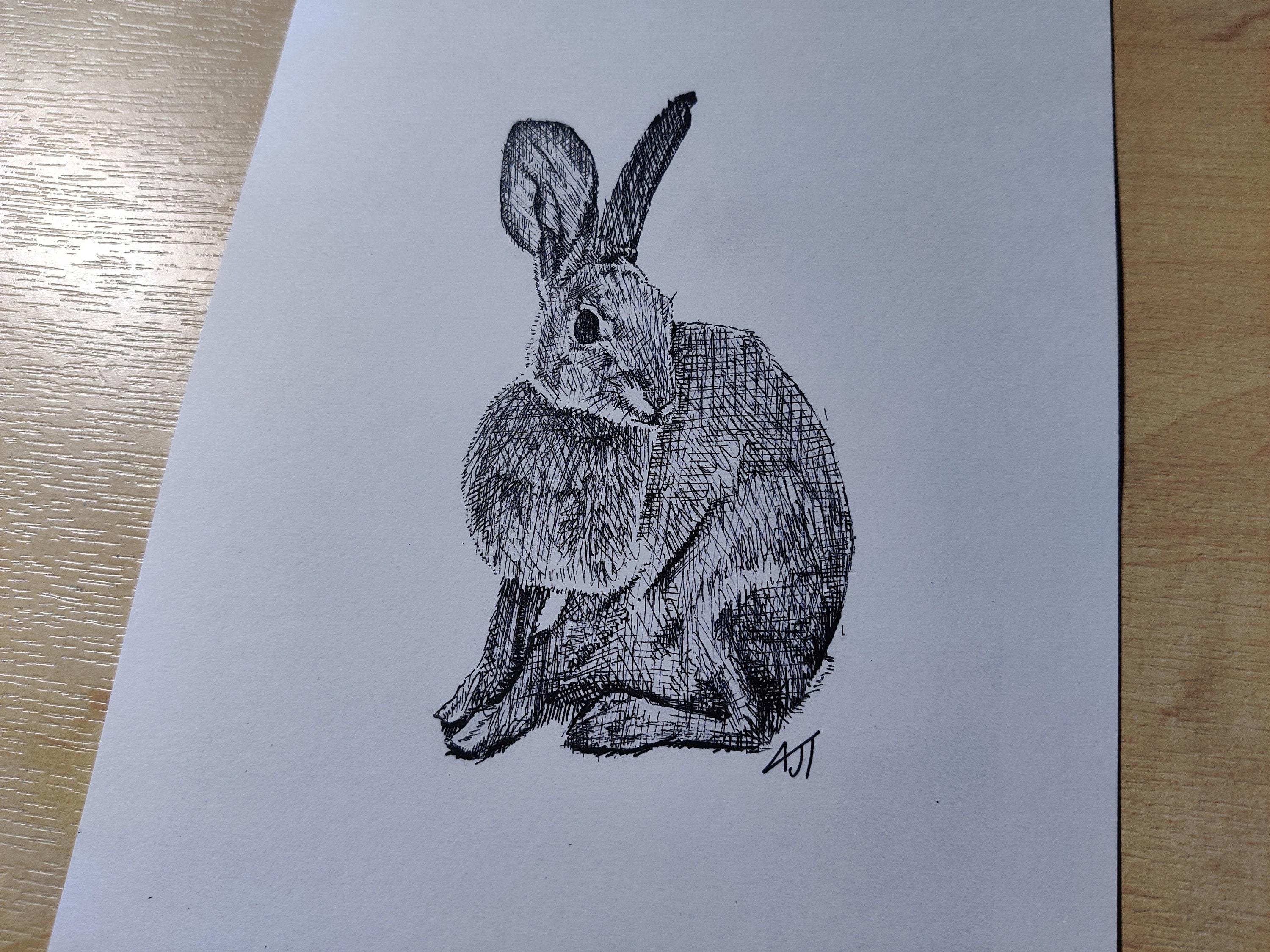 Pen and Ink Rabbit Print Etsy UK