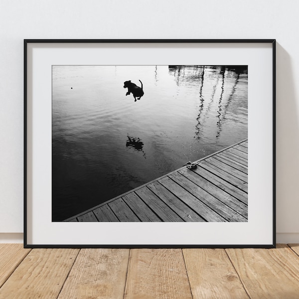 Art du lac Dog, photo de chien noir et blanc, photo de l'eau de chien, impression de saut de chien, photographie d'art chien, impression de chalet de chien, photographie de quai