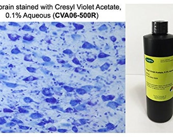 Cresyl Violet Acetate, 0.1% Aqueous (500mL)