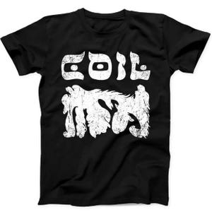 Camiseta negra de regalo musical "The Restitution Of Decayed Intelligence" (B377)