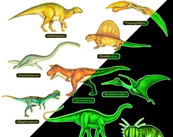 Glow in the Dark Dinosaur Wall Stickers - 10 Large Bright Wall Decals for Bedroom Walls and Ceilings - for Boys Room and Girls Room - Set 2