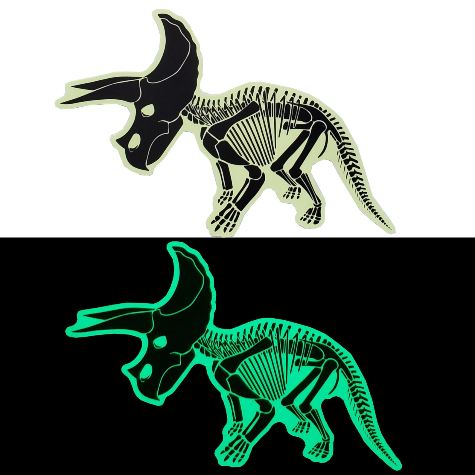 Glow in the Dark Dinosaur Fossil Wall Stickers 10 Large Etsy