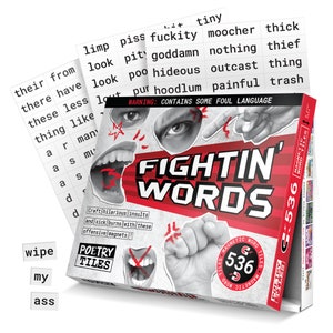 Poetry Tiles - 536 Fightin&#39; Words Word Magnets - Obscenities, Insults, and Swear Words Themed Kit for Refrigerator Poems and Stories