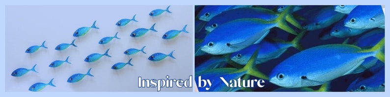 Pu&ograve; includere: Un collage di due immagini. L'immagine a sinistra mostra uno scuola di pesci blu che nuotano in fila. L'immagine a destra mostra uno scuola di pesci blu che nuotano in un ambiente naturale. Il testo "Ispirato dalla natura" &egrave; scritto sotto le immagini.