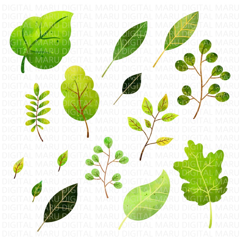 May include: Watercolor illustration of various green leaves and branches. The leaves vary in shape and size, with shades of light and dark green. Some branches have small, round leaves, while others have larger, more detailed leaves.