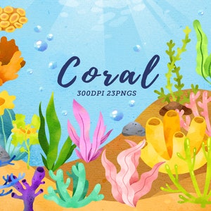 Watercolor Coral Clipart / Seaweed Clipart / Ocean Coral Reef / Underwater Coral / Colorful Coral / Beach / Ocean / Instant Download