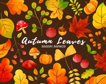 Watercolor Autumn Leaves Clipart / Fall Leaves Clipart / Autumn Clipart / Fall Clipart / Fall Leaf Clipart / Leaf Clipart / Leaves Clipart