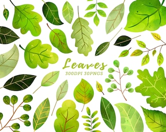 Clipart foglie ad acquerello / Clipart foglie verdi / Clipart foglia verde / Clipart foglia / Clipart foglie / Varietà foglia / Verde acquerello