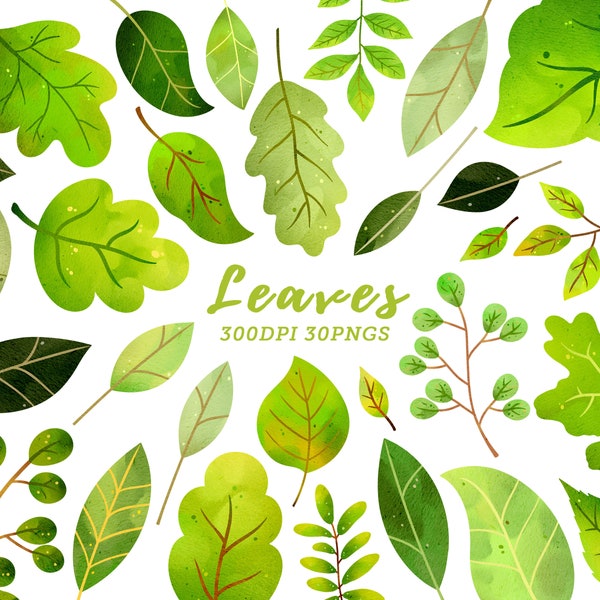 Watercolor Leaves Clipart / Green Leaves Clipart / Green Leaf Clipart / Leaf Clipart / Leaves Clipart / Leaf Variety / Watercolor Greenery