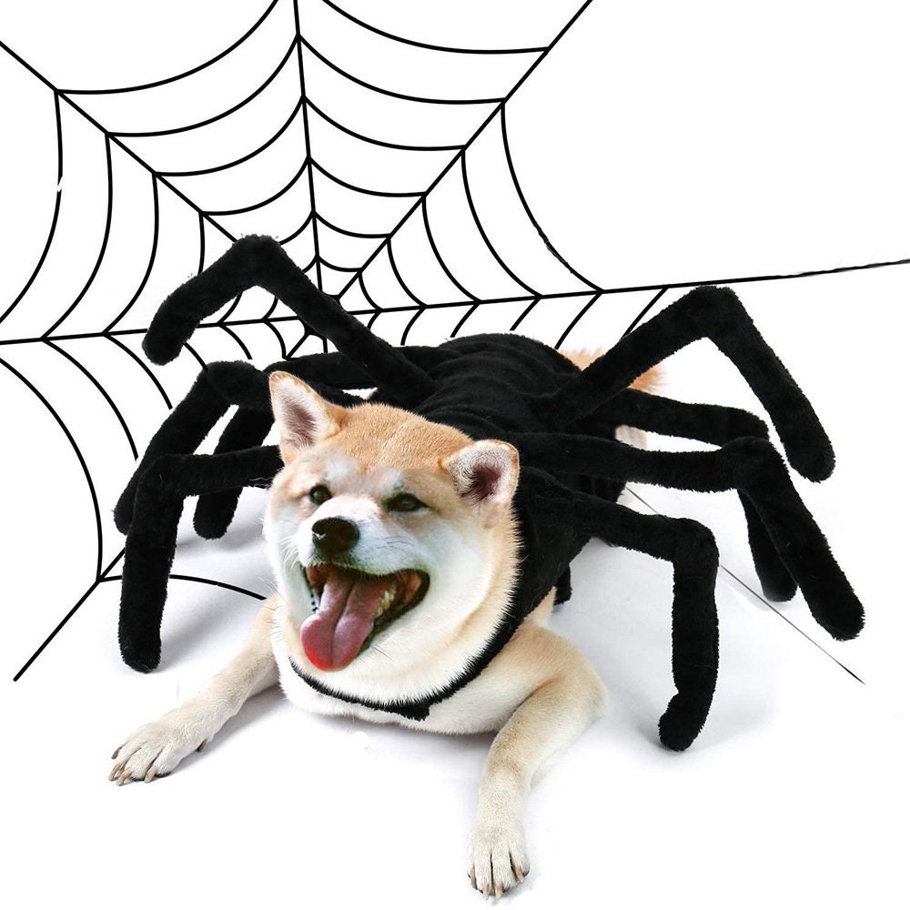dog spider costume black