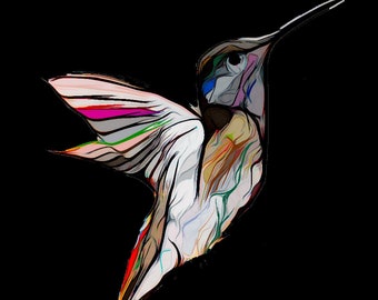 Abstract Hummingbird Color Print