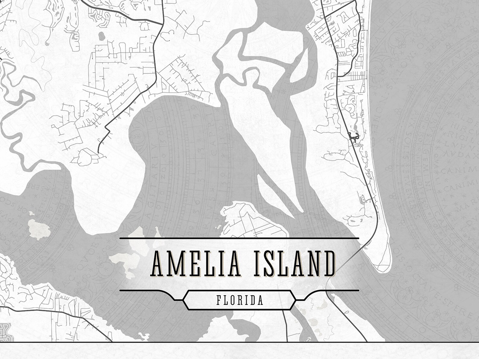 AMELIA ISLAND FL Canvas Map Florida Stretched Wall Art White Etsy