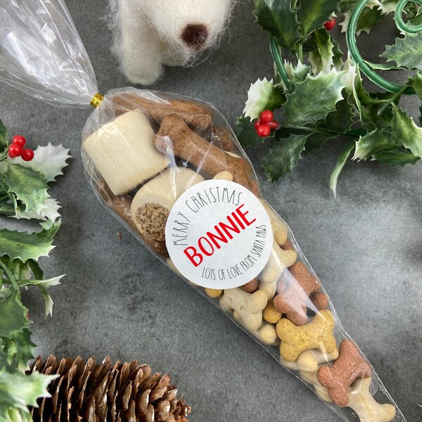 Merry Christmas From Santa Paws Dog Treat Cone, Dog Gift Bag, Puppy Treats, Christmas Present, Pooch Treats, Dog Lovers, Treat Bag