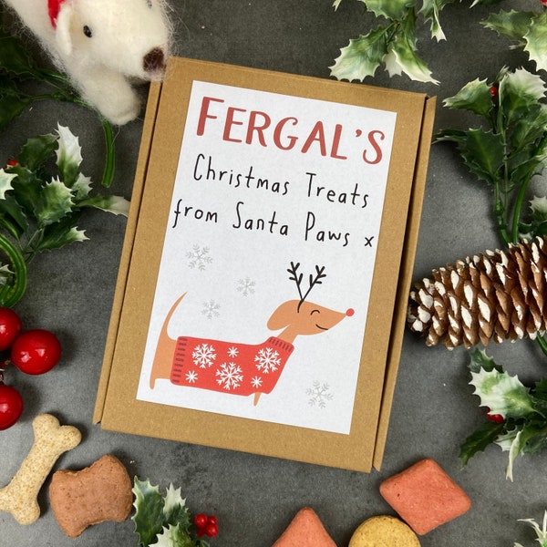Dog Christmas Gifts 60+ Gift Ideas for 2023