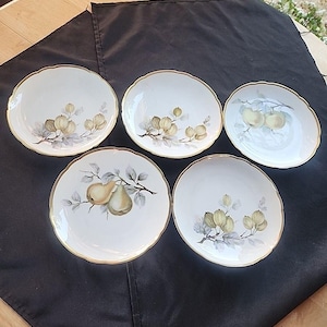 Hutschenreuther Plate - Etsy