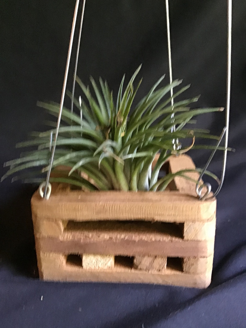 4 inch Square Teakwood Vanda Basket Orchid Hanging Planter Pot Etsy