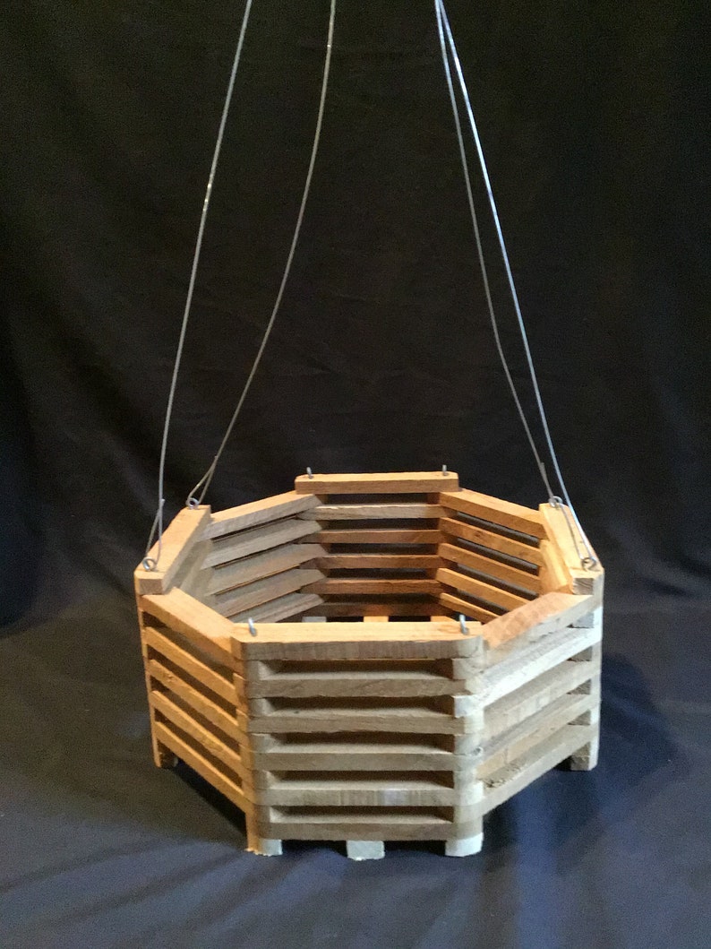 10 inch Octagonal Teakwood Vanda Basket Orchid Asocenda Plant Etsy