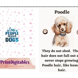 Poodle Dog art greetings card, Personalized Card, Animal Card, Dog Lover, Animal lover, For Groomers, Vets and Breed Lovers