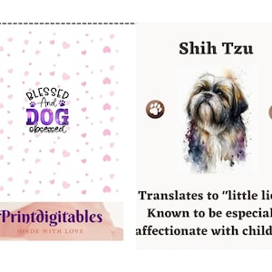 Shih Tzu Dog art greetings card, Personalized Card, Animal Card, Dog Lover, Animal lover, For Groomers, Vets and Breed Lovers