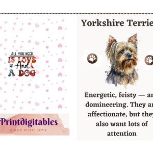 Yorkshire Terriers, Dog art greetings card, Personalized Card, Animal Card, Dog Lover, Animal lover, For Groomers, Vets and Breed Lovers