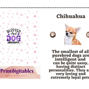 Chihuahua Greeting Card, Card from Dog, For Groomers,Vets and Breed Lovers,Chihuahua lovers,Dog Card, Gift for Dog Lovers, Pet Greeting Card