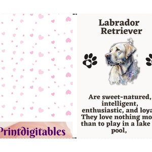 Labrador Retriever Dog art greetings card, Personalized Card, Animal Card, Dog Lover, Animal lover, For Groomers, Vets and Breed Lovers