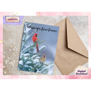 Christmas Card with a Red Cardinal, Red cardinal illustration, Messenger from Heaven, Heartfelt holiday wishes, Spiritual Christmas card