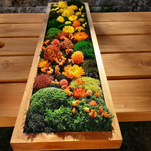 Preserved Moss Wall Art (6 inch × 23 inch frame)